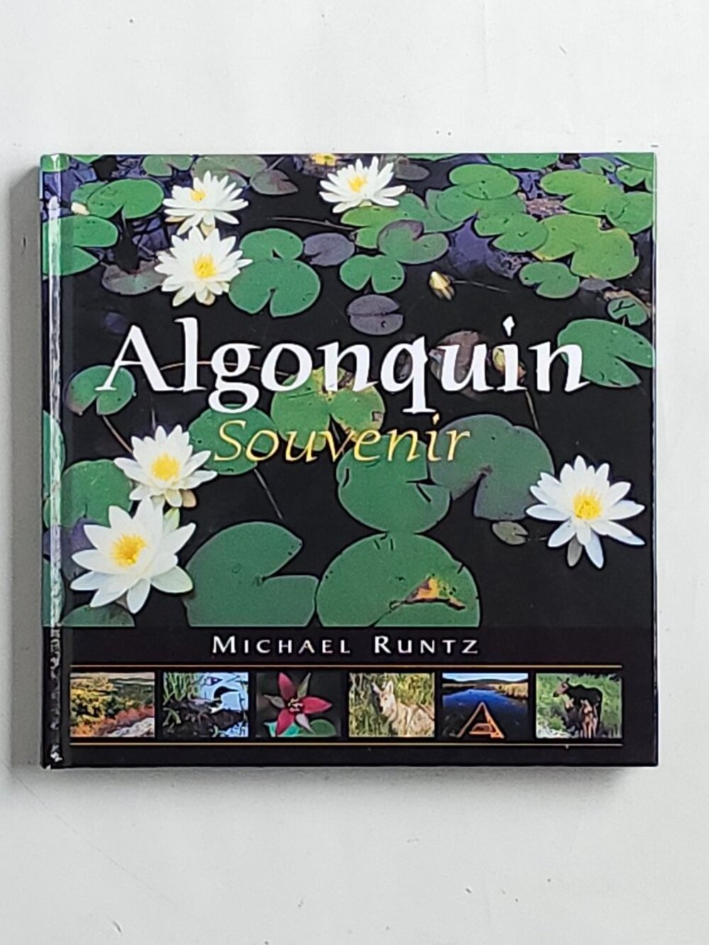 Algonquin Souvenir Michael Runtz Algonquin Provincial Park Ontario